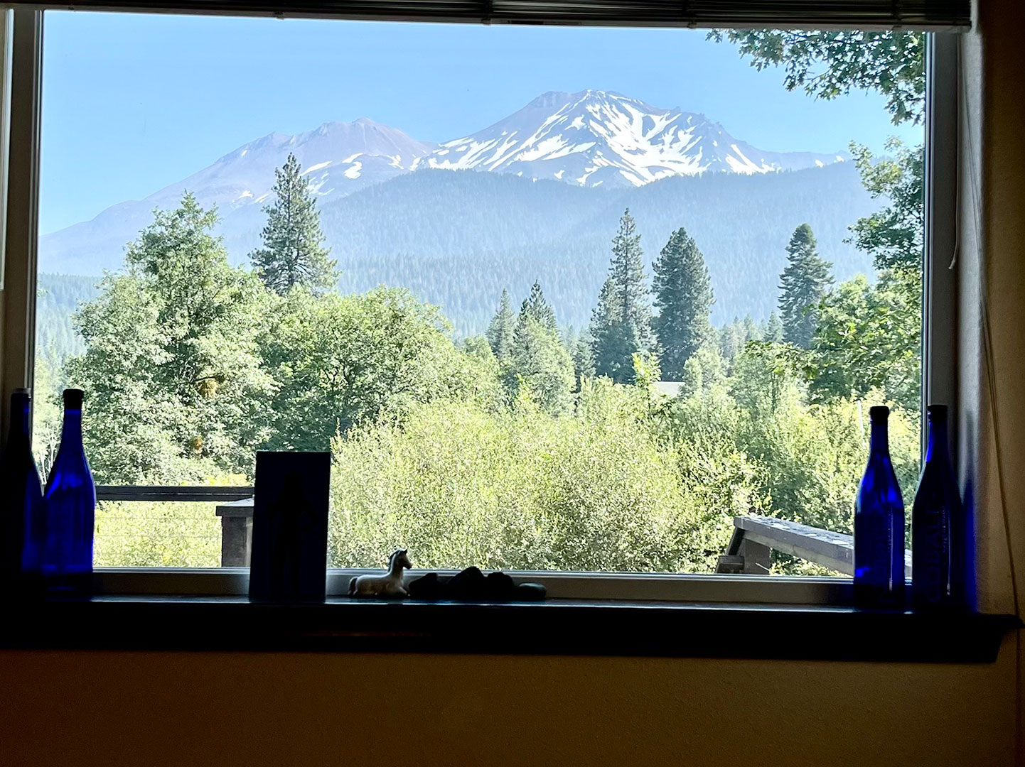 Kitchen-Dining-View